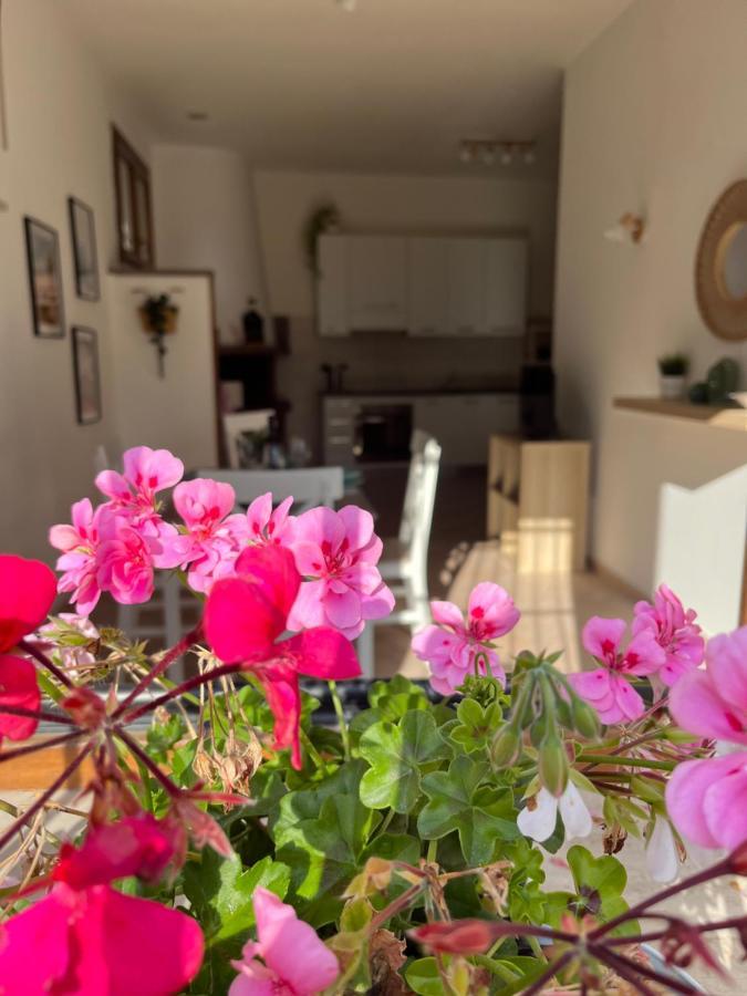 Appartamento Casa Saline Tarquinia Esterno foto